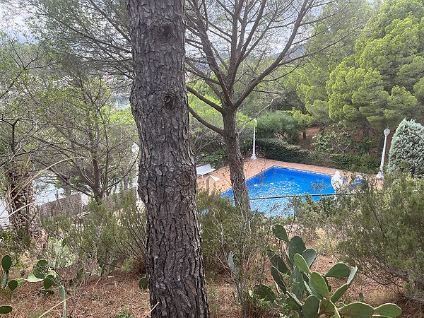 Magnífica propietat ubicada a Cala Rovellada. Amb ampli terreny, piscina i vistes directes al mar.