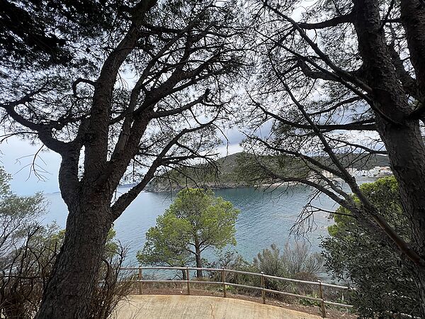 Magnífica propietat ubicada a Cala Rovellada. Amb ampli terreny, piscina i vistes directes al mar.