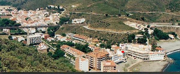 Apartament de lloguer turístic a primera linea de mar