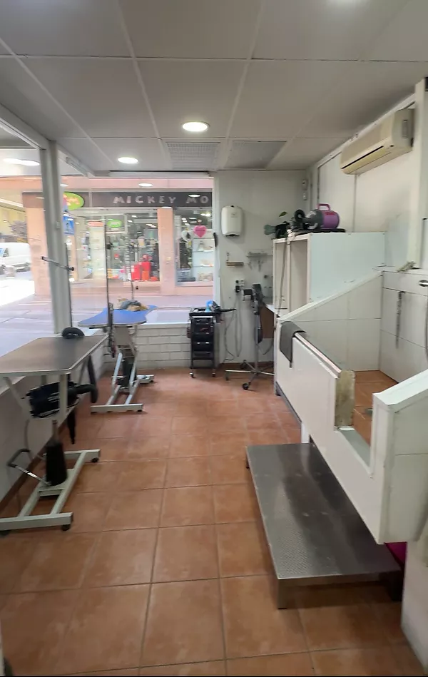 Es traspassa negoci actiu de Perruqueria Canina i Botiga al centre de Girona