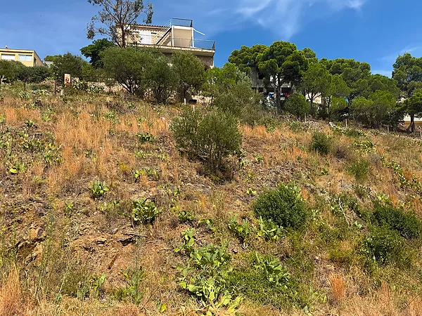 Terreny urbà en venda a Cala Rovellada