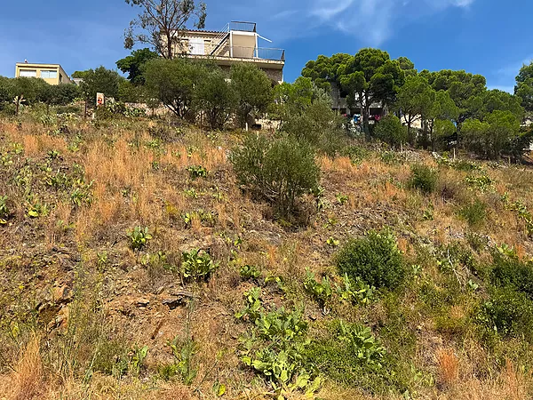 Terreny urbà en venda a Cala Rovellada