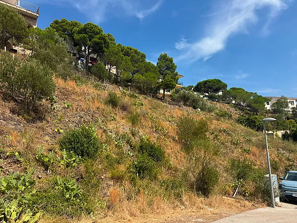 Terreny urbà en venda a Cala Rovellada