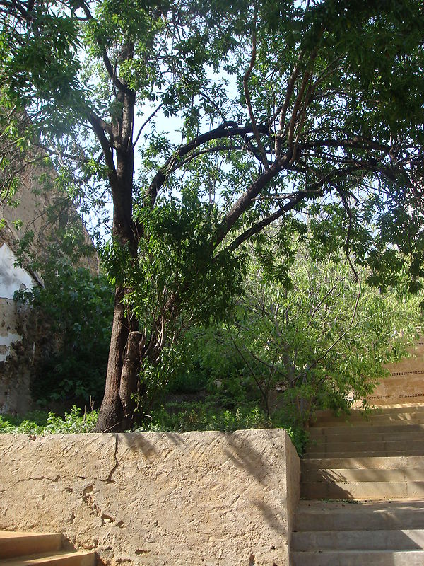 Terreny edificable en venda al centre del poble de Colera