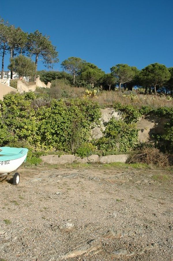 Terreny edificable amb vistes