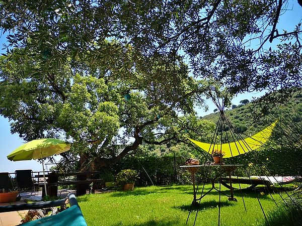 Magnífica casa amb piscina, pàrquing, barbacoa i jacuzzi