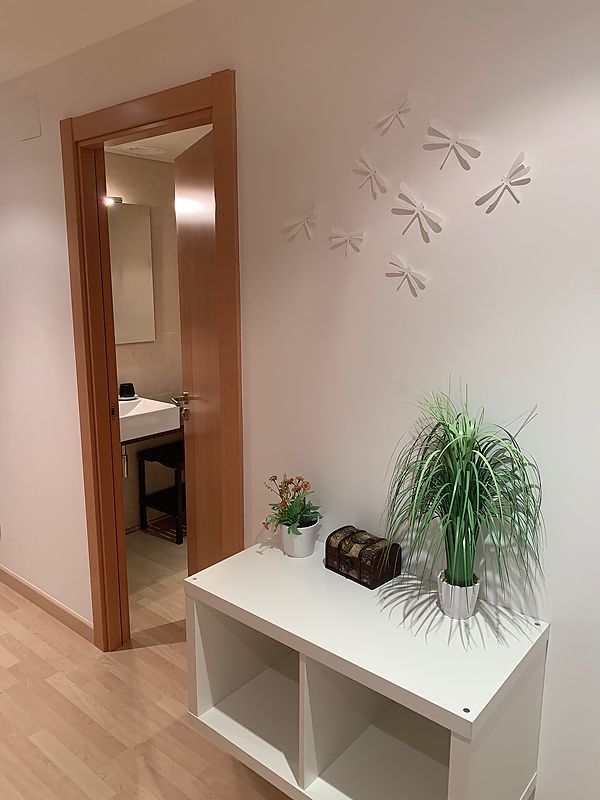 Flat two rooms in perfect condition
