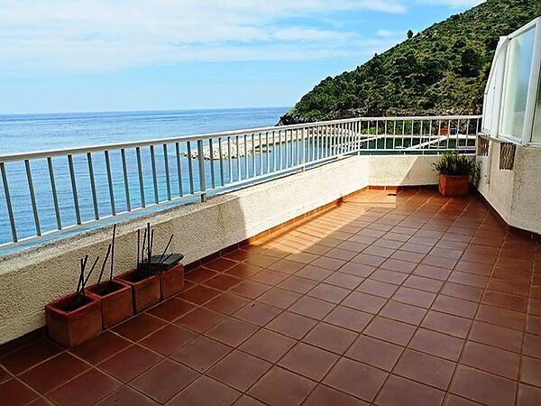 Holiday apartment in the Port of  Colera